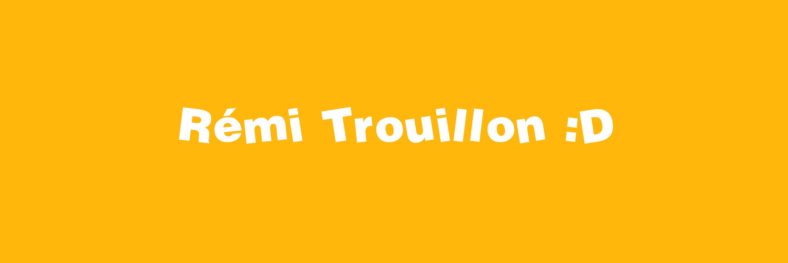 remitrouillon's profile banner image