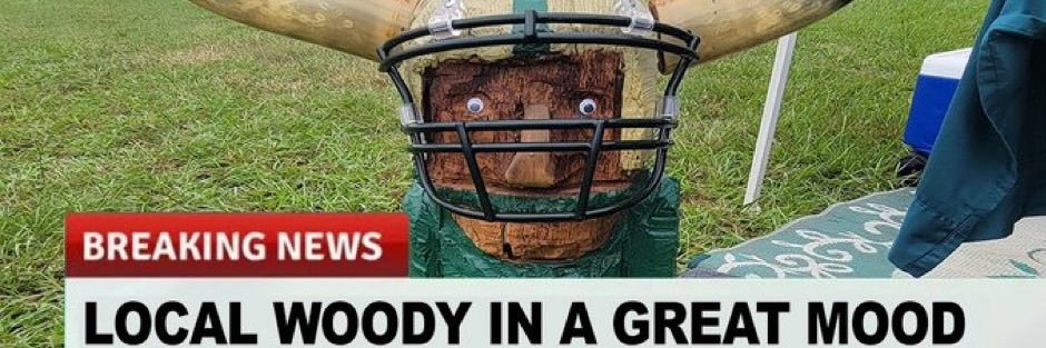Did USF Win? banner