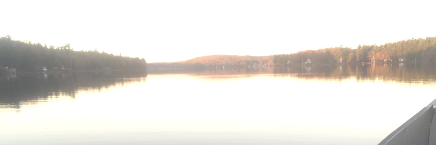 sean14murphy's profile banner image