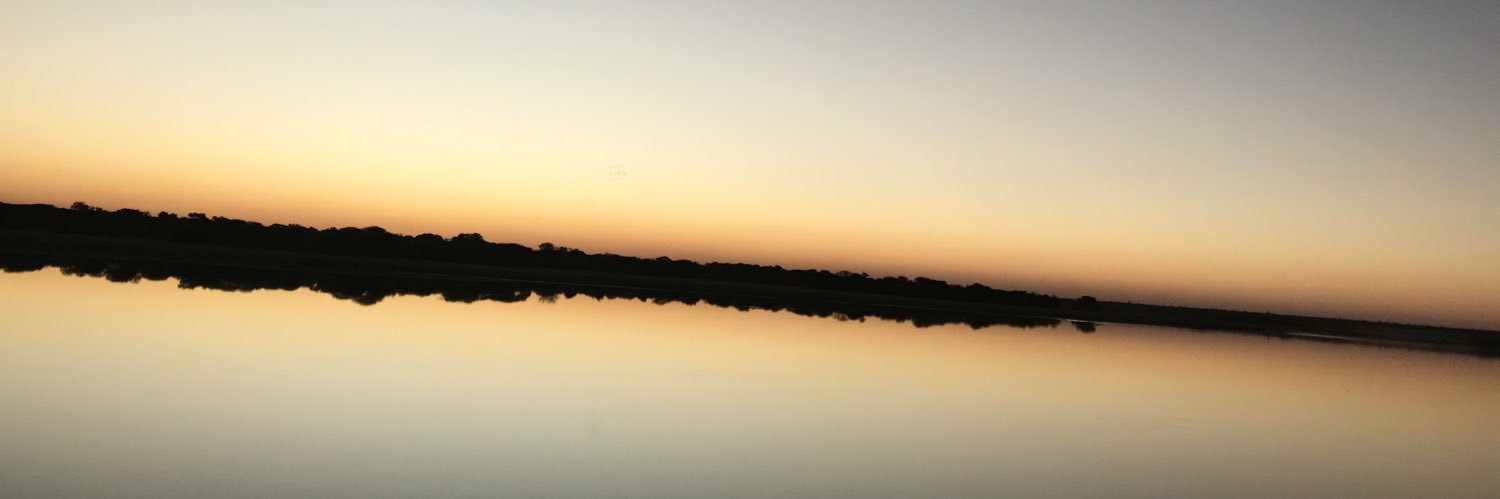 Paledi_Neo's profile banner image