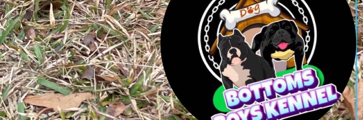 88Exotickennel's profile banner image