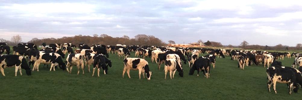 Cliffefarmvets's profile banner image