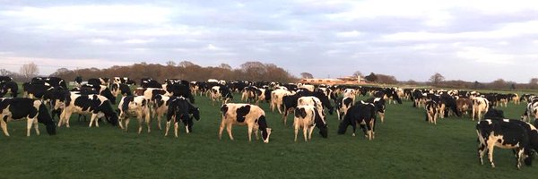 Cliffefarmvets Profile Banner