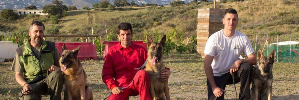 Dogtm_Marbella's profile banner image