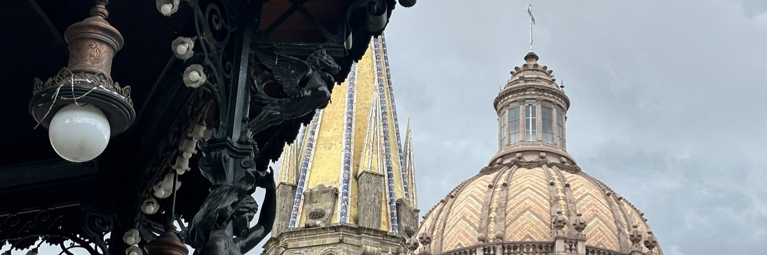 Fernanda Robles banner