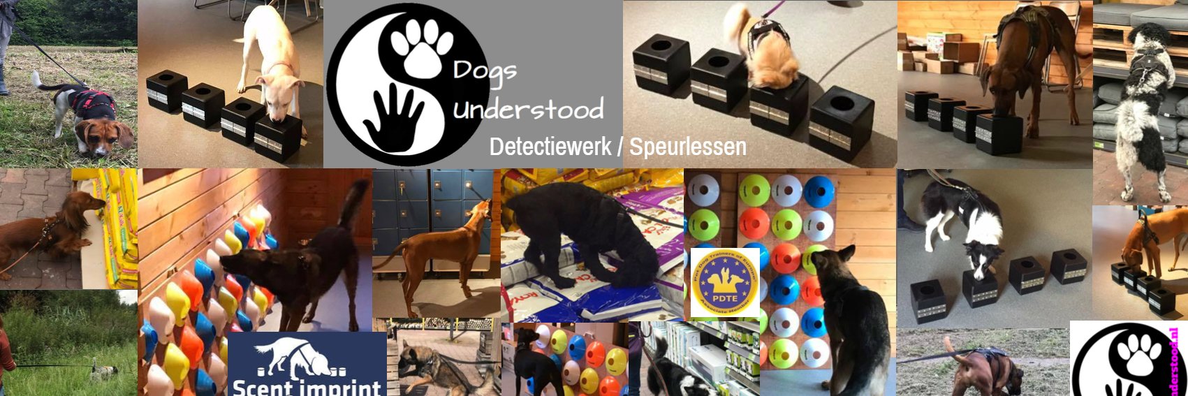 Dogs_Understood's profile banner image