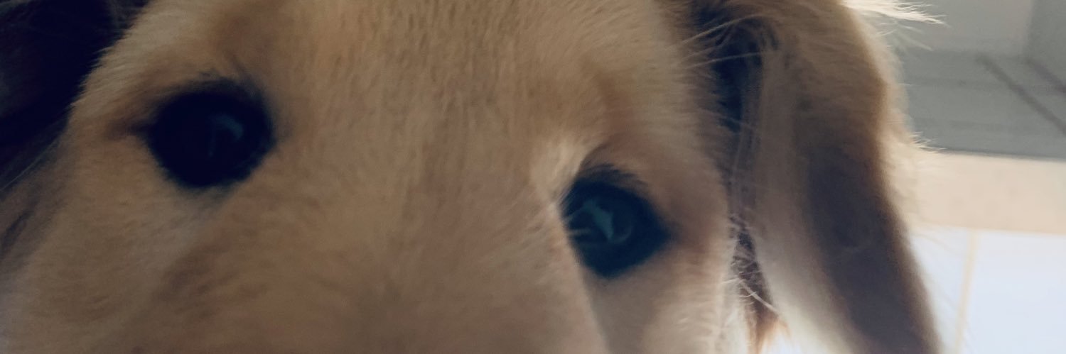 maynauai's profile banner image