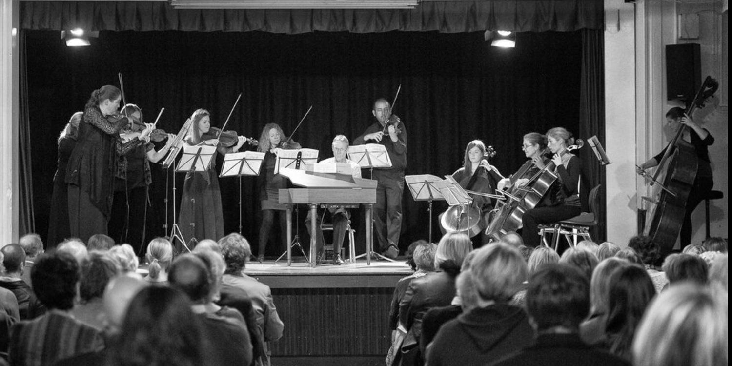 SlwTreeConcerts's profile banner image