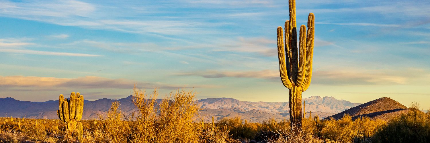 Arizona Environment banner