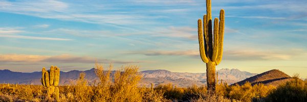uazenvironment Profile Banner