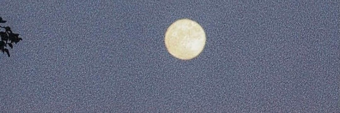 Dezert banner