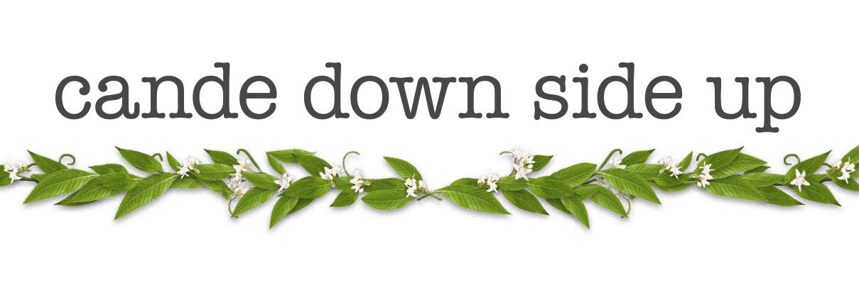 Cande Down side Up banner