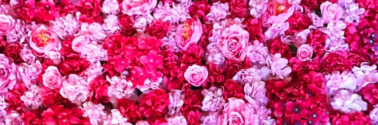 zaibelle's profile banner image