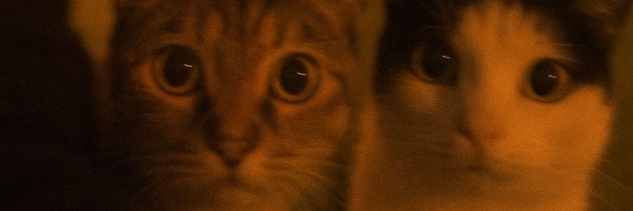 algwece's profile banner image