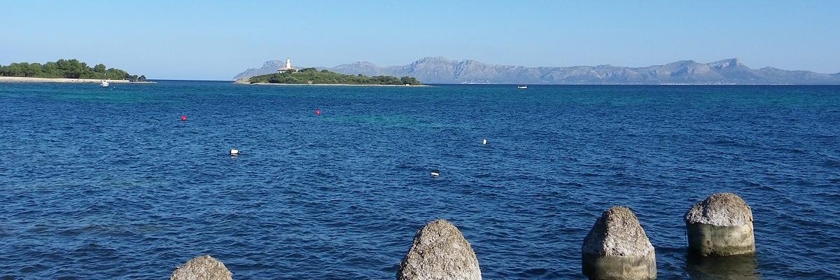 alcanadamca's profile banner image