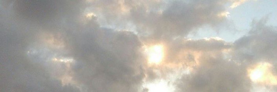 wolfie banner