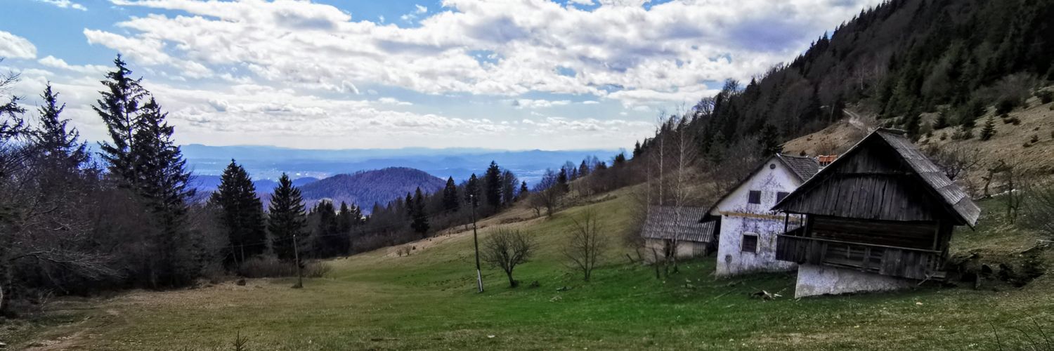 Stanko Plestenjak banner