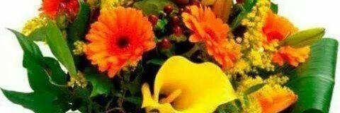 akbari_yahya's profile banner image