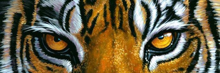 Nic banner