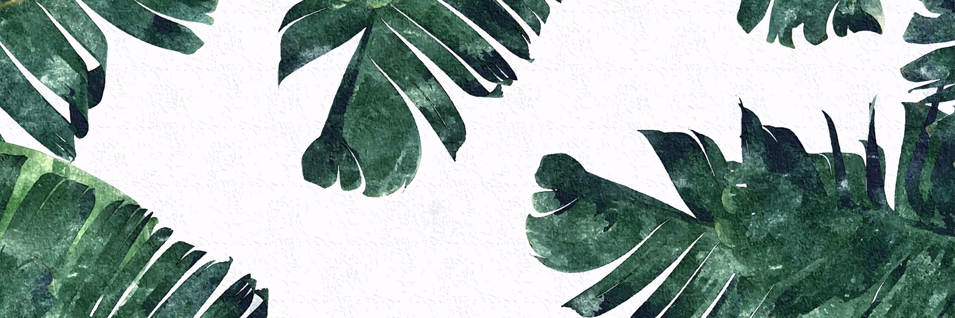 denoarde's profile banner image