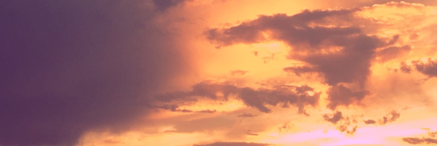 Jay banner