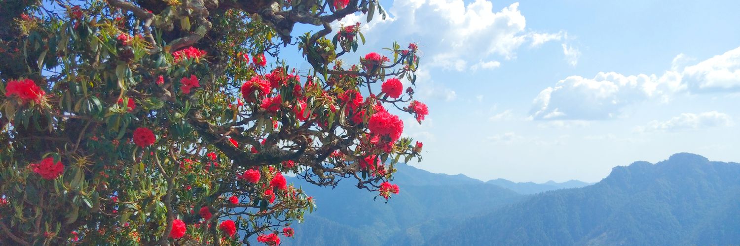 alpanasd's profile banner image
