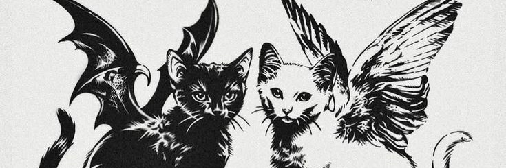 this_isOliveira's profile banner image