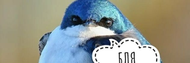 Hell_Him's profile banner image