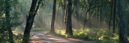 Marshon Brooks banner