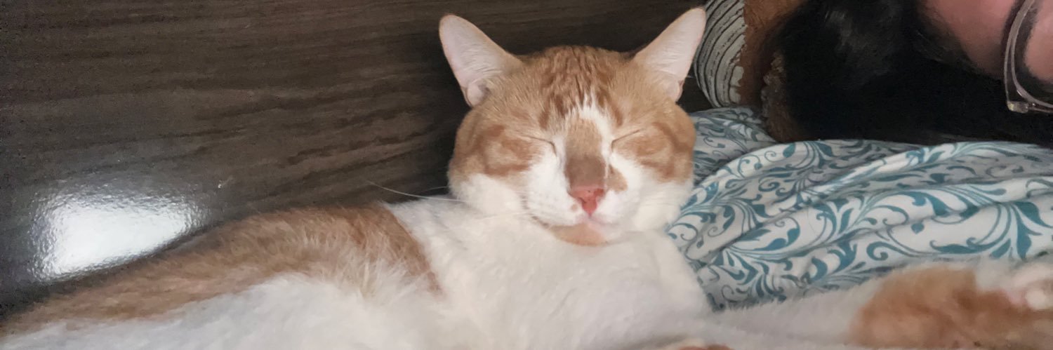 julopeaa's profile banner image