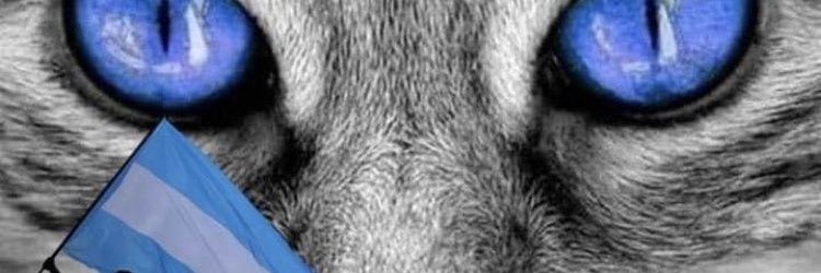 MSErase's profile banner image