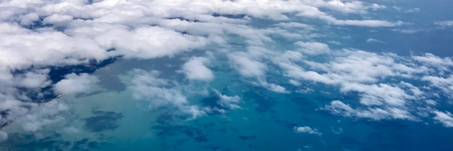 megcarrr's profile banner image