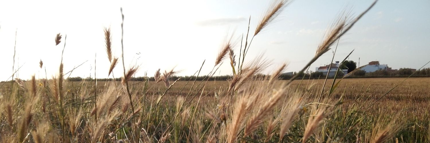 albert_luque_'s profile banner image