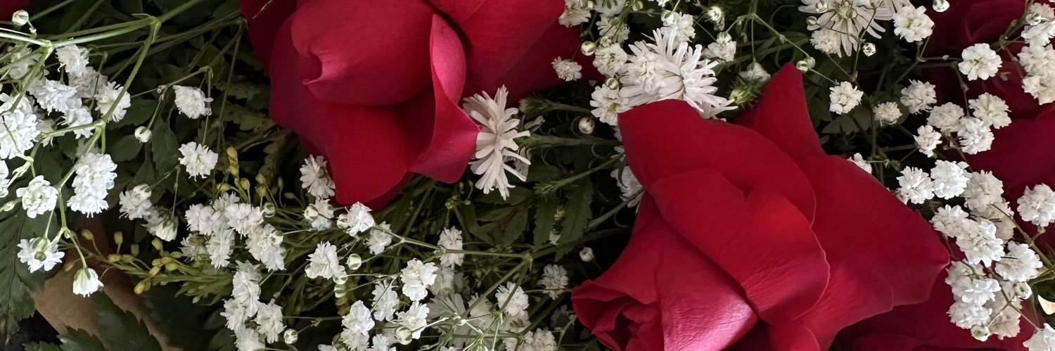 annamserafim's profile banner image