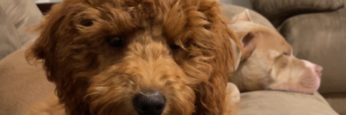 ceeclarkk's profile banner image