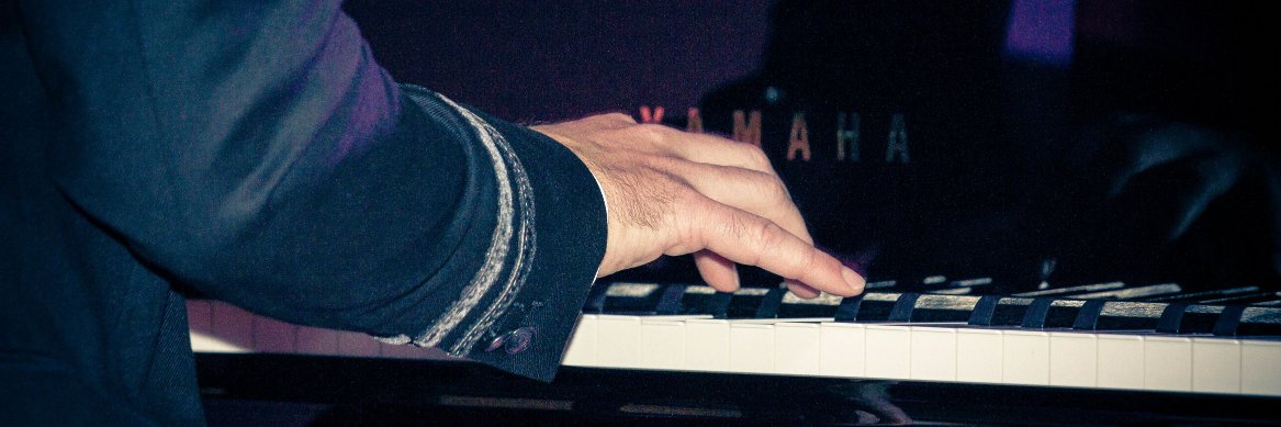 didipranter's profile banner image
