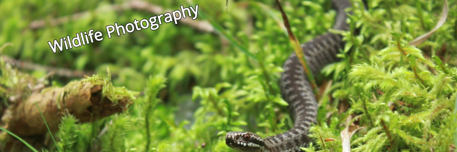 ecobarrett's profile banner image