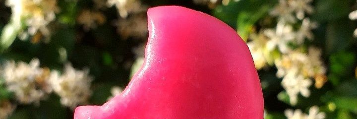 EugeGarro's profile banner image