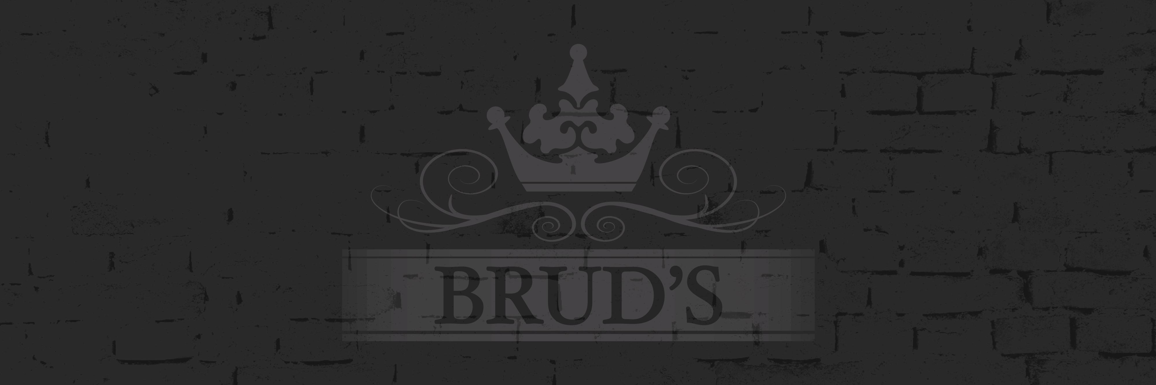 BrudsBrasil's profile banner image