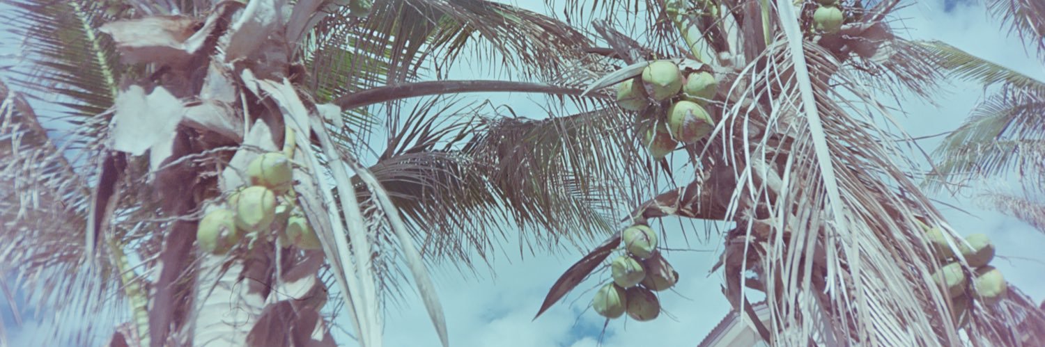 MartuPaviaP's profile banner image