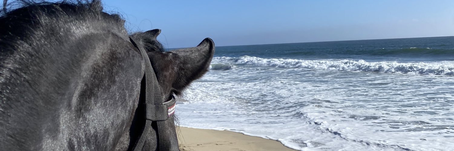 briannarc__'s profile banner image