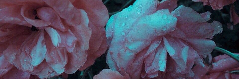 diamond_lesia's profile banner image