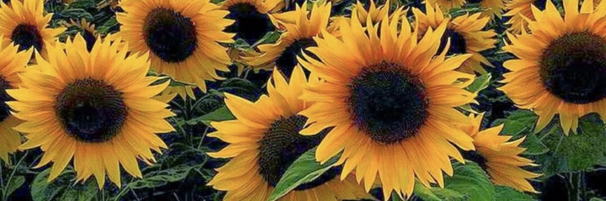 Liiindds's profile banner image
