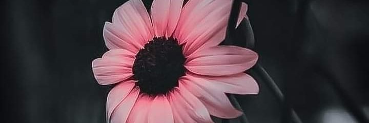 Alu2aaa's profile banner image
