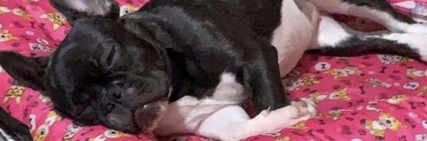 vieiracsrt's profile banner image