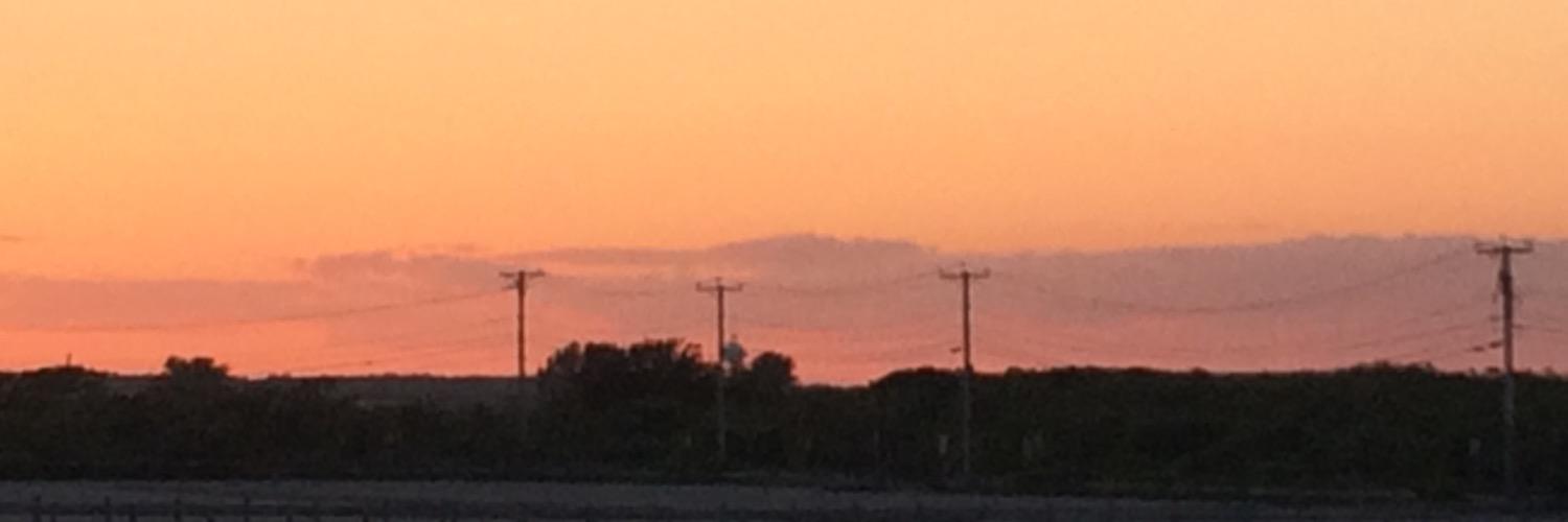 logan_mcgloin's profile banner image