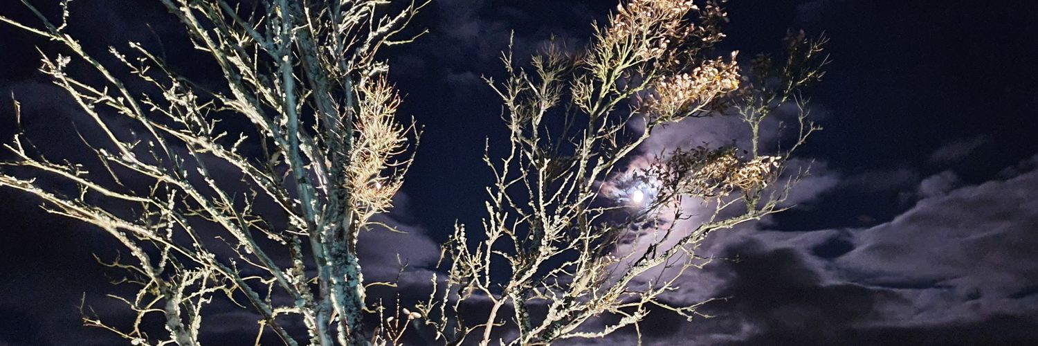 DanGoLighting's profile banner image