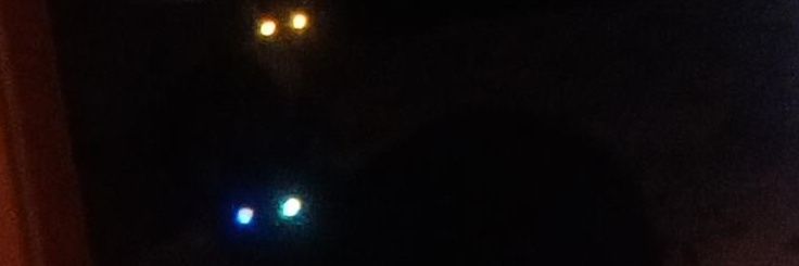 medevoraria's profile banner image