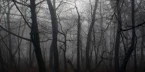 WoodsGhost1's profile banner image