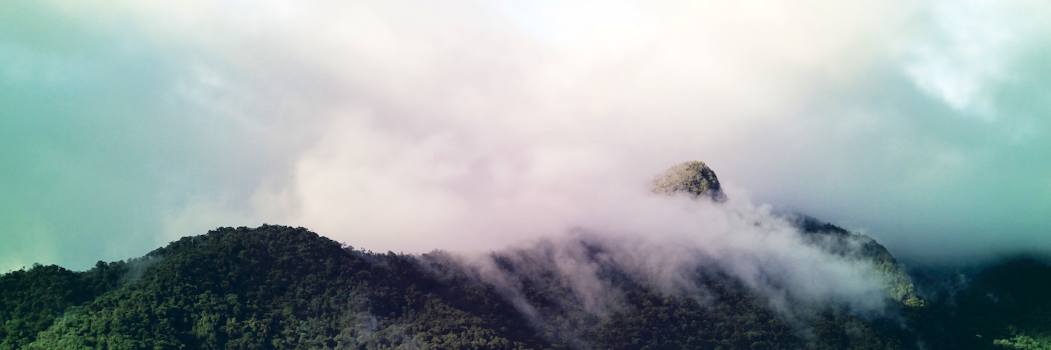 bmealhouse's profile banner image